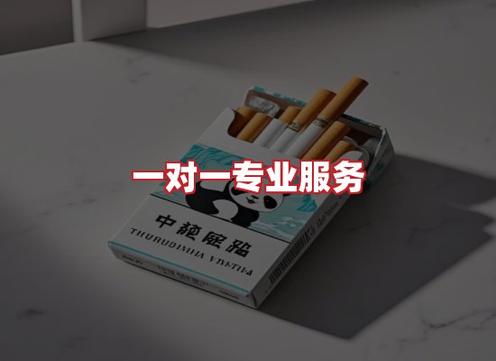专业团队